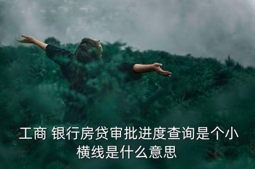  工商 銀行房貸審批進(jìn)度查詢(xún)是個(gè)小橫線是什么意思