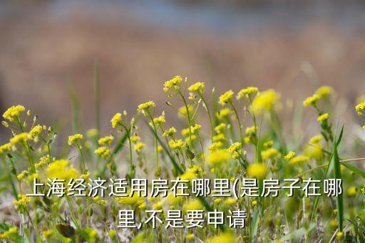  上海經濟適用房在哪里(是房子在哪里,不是要申請