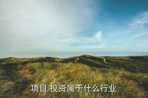 投資公司的行業(yè)分類(lèi)