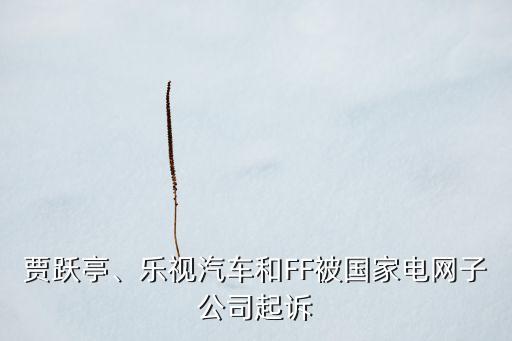 賈躍亭、樂視汽車和FF被國家電網(wǎng)子公司起訴