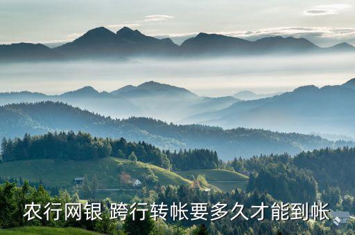 農(nóng)行網(wǎng)銀 跨行轉帳要多久才能到帳