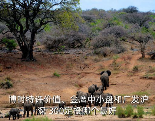  博時(shí)特許價(jià)值、金鷹中小盤和廣發(fā)滬深 300定投哪個(gè)最好
