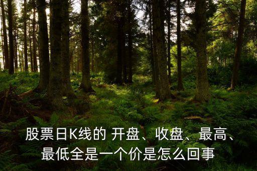  股票日K線的 開盤、收盤、最高、最低全是一個價是怎么回事