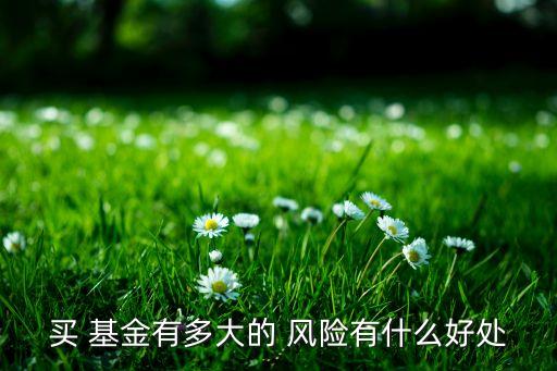 基金的風(fēng)險控制,基金風(fēng)險控制水平要高還是低好