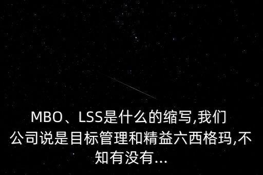 MBO、LSS是什么的縮寫,我們 公司說是目標(biāo)管理和精益六西格瑪,不知有沒有...