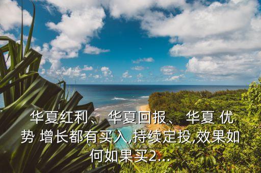  華夏紅利、 華夏回報(bào)、 華夏 優(yōu)勢 增長都有買入,持續(xù)定投,效果如何如果買2...