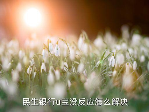  民生銀行u寶沒(méi)反應(yīng)怎么解決
