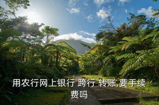 用農(nóng)行網(wǎng)上銀行 跨行 轉賬,要手續(xù)費嗎